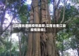 【云南省磨憨疫情最新,云南省墨江县疫情新闻】