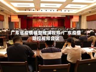 广东省疫情模型推演视频/广东疫情防控视频会议