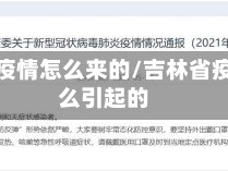 吉林省疫情怎么来的/吉林省疫情怎么引起的