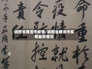 峡西省商洛市疫情/峡西省商洛市疫情最新情况