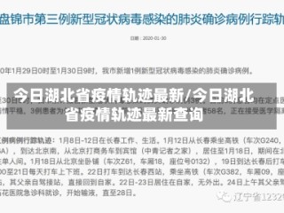 今日湖北省疫情轨迹最新/今日湖北省疫情轨迹最新查询