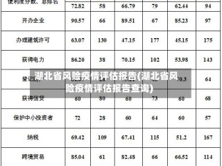 湖北省风险疫情评估报告(湖北省风险疫情评估报告查询)