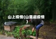 山上疫情(山里避疫情)