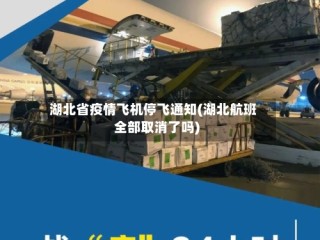 湖北省疫情飞机停飞通知(湖北航班全部取消了吗)