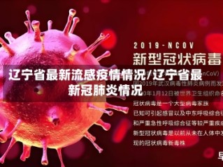 辽宁省最新流感疫情情况/辽宁省最新冠肺炎情况