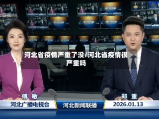 河北省疫情严重了没/河北省疫情很严重吗