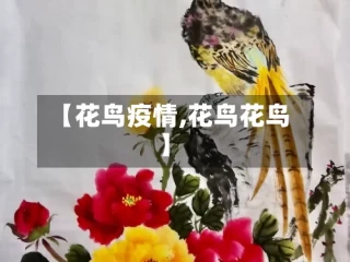 【花鸟疫情,花鸟花鸟】