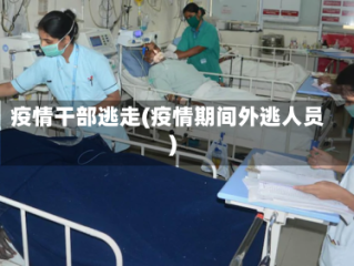 疫情干部逃走(疫情期间外逃人员)