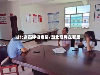 湖北省高坪镇疫情/湖北高坪在哪里