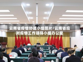 云南省疫情协调小组图片/云南省应对疫情工作领导小组办公室
