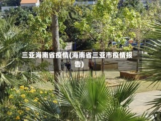 三亚海南省疫情(海南省三亚市疫情报告)
