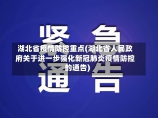 湖北省疫情防控重点(湖北省人民政府关于进一步强化新冠肺炎疫情防控的通告)
