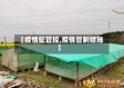 【疫情蛇管控,疫情管制措施】