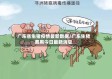 广东省生猪疫情最新数据/广东生猪费用今日最新消息
