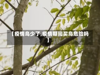 【疫情鸟少了,疫情期间买鸟危险吗】