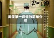 武汉第一疫情的简单介绍