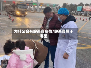 为什么会有岭西省疫情/岭西县属于哪里