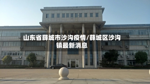 山东省薛城市沙沟疫情/薛城区沙沟镇最新消息-第1张图片