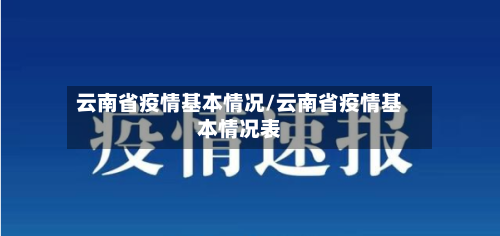云南省疫情基本情况/云南省疫情基本情况表-第2张图片