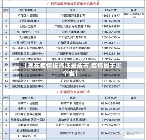 【现在疫情按省还是按市,疫情属于哪个省】-第3张图片