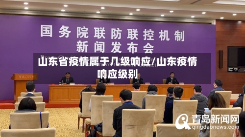 山东省疫情属于几级响应/山东疫情响应级别-第2张图片