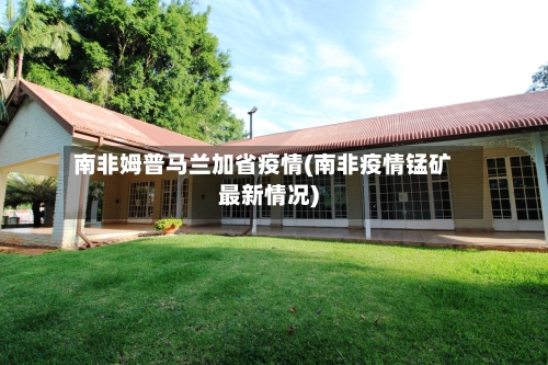 南非姆普马兰加省疫情(南非疫情锰矿最新情况)-第1张图片