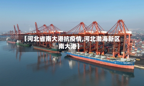 【河北省南大港抗疫情,河北渤海新区南大港】-第1张图片