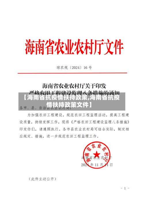 【海南省抗疫情扶持政策,海南省抗疫情扶持政策文件】-第2张图片