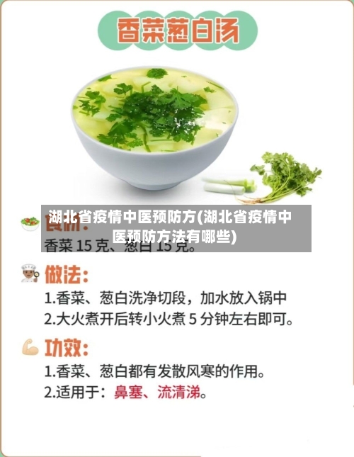 湖北省疫情中医预防方(湖北省疫情中医预防方法有哪些)-第1张图片