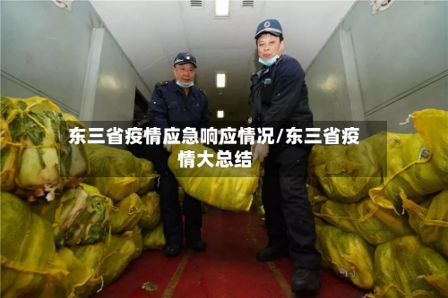东三省疫情应急响应情况/东三省疫情大总结-第2张图片
