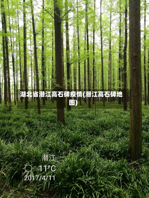 湖北省潜江高石碑疫情(潜江高石碑地图)-第1张图片