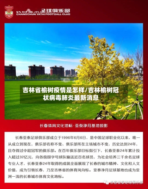 吉林省榆树疫情是怎样/吉林榆树冠状病毒肺炎最新消息-第2张图片