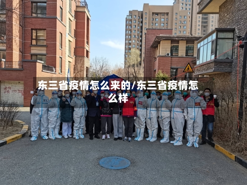 东三省疫情怎么来的/东三省疫情怎么样-第3张图片