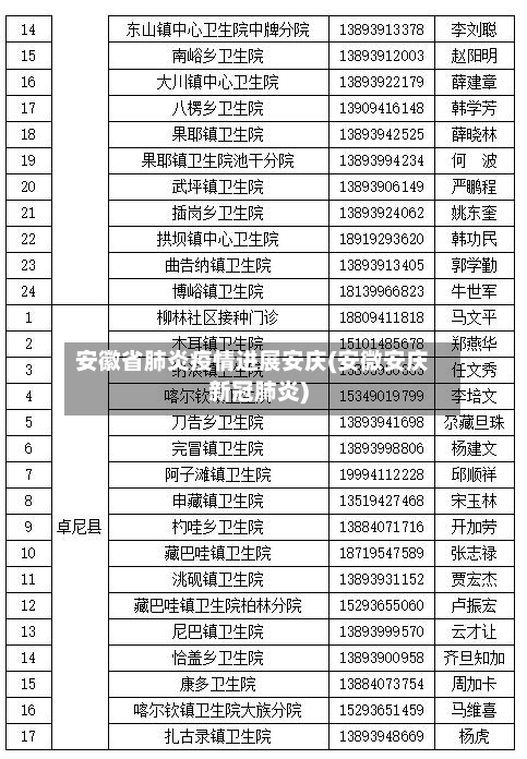 安徽省肺炎疫情进展安庆(安微安庆新冠肺炎)-第2张图片