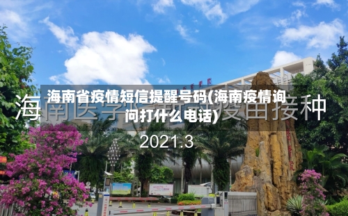 海南省疫情短信提醒号码(海南疫情询问打什么电话)-第2张图片
