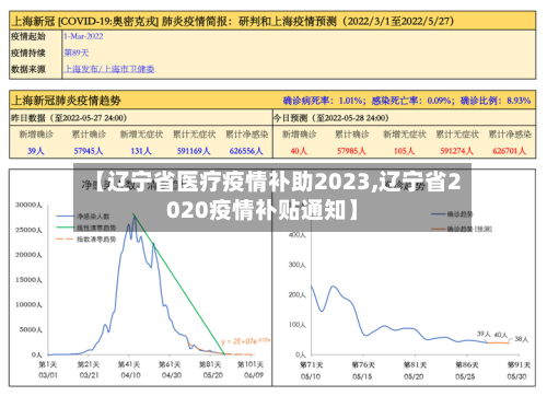 【辽宁省医疗疫情补助2023,辽宁省2020疫情补贴通知】-第2张图片