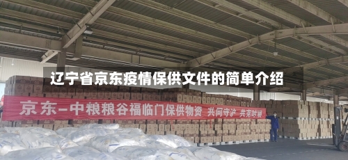 辽宁省京东疫情保供文件的简单介绍-第1张图片