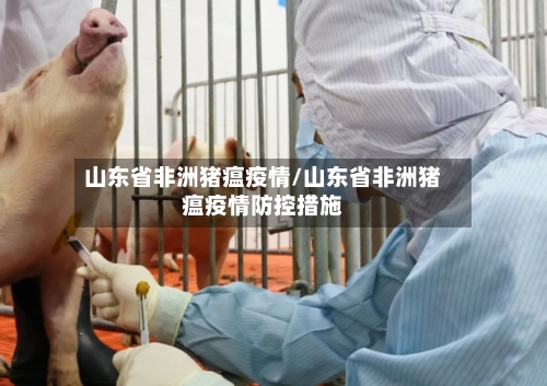 山东省非洲猪瘟疫情/山东省非洲猪瘟疫情防控措施-第1张图片