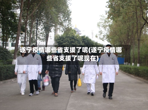遂宁疫情哪些省支援了呢(遂宁疫情哪些省支援了呢现在)-第2张图片