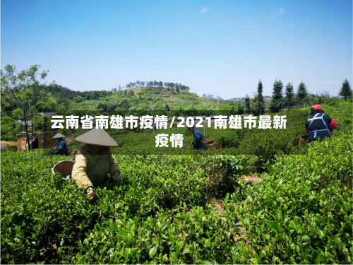 云南省南雄市疫情/2021南雄市最新疫情-第1张图片