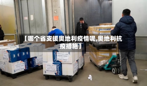 【哪个省支援奥地利疫情呢,奥地利抗疫措施】-第1张图片