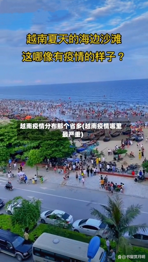 越南疫情分布那个省多(越南疫情哪里最严重)-第1张图片