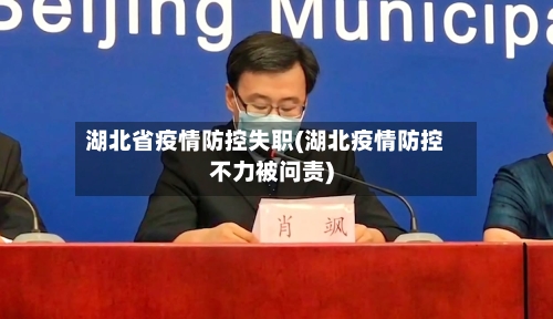 湖北省疫情防控失职(湖北疫情防控不力被问责)-第2张图片