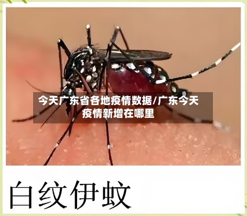 今天广东省各地疫情数据/广东今天疫情新增在哪里-第1张图片