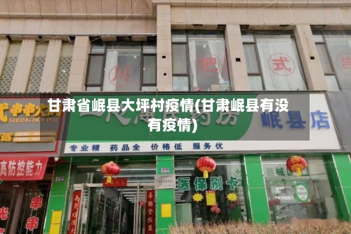 甘肃省岷县大坪村疫情(甘肃岷县有没有疫情)-第3张图片