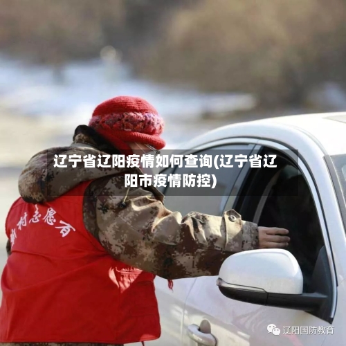 辽宁省辽阳疫情如何查询(辽宁省辽阳市疫情防控)-第3张图片