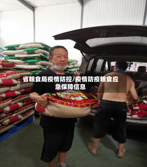 省粮食局疫情防控/疫情防疫粮食应急保障信息-第2张图片