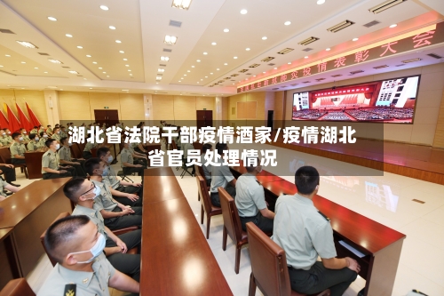湖北省法院干部疫情酒家/疫情湖北省官员处理情况-第1张图片