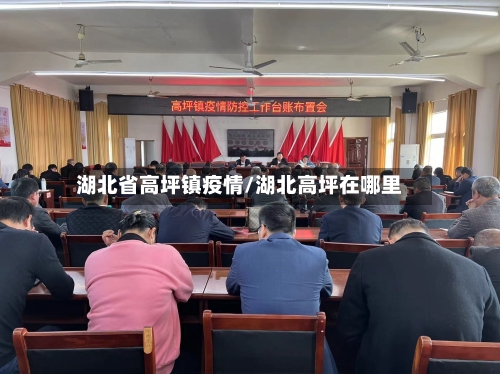 湖北省高坪镇疫情/湖北高坪在哪里-第3张图片