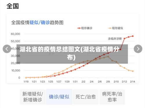 湖北省的疫情总结图文(湖北省疫情分布)-第1张图片